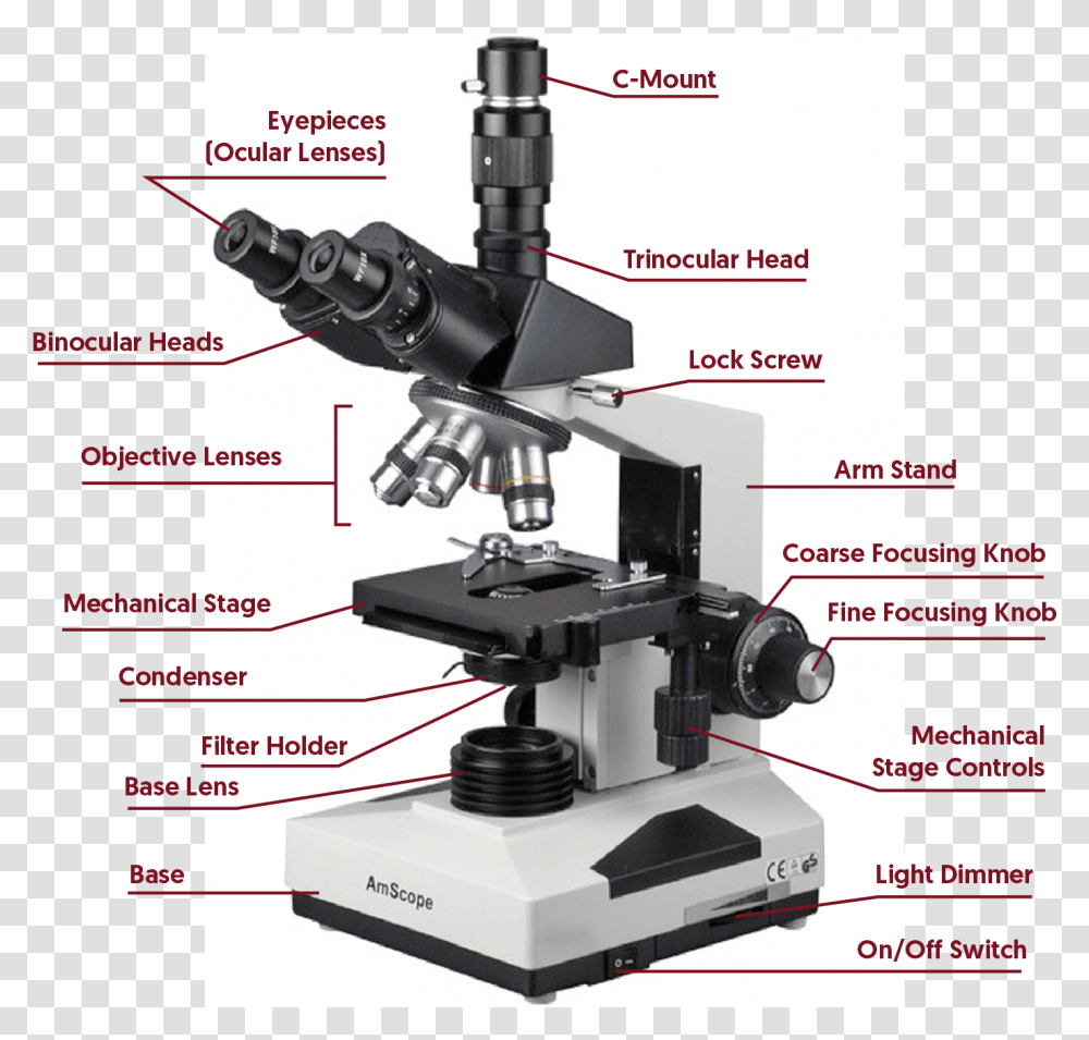 Inclination Joint In Microscope Download Transparent Png