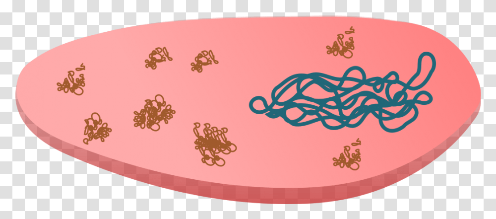 Inclusion Body In Cloned Bacteria Clip Arts, Dish, Meal, Food, Rug Transparent Png