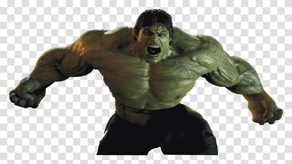 Incredible Hulk, Person, Hand, Head, Face Transparent Png