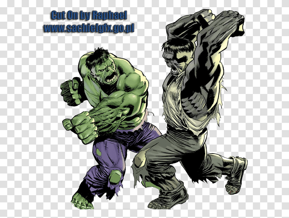 Incredible Hulk Tempest Fugit, Person, Human, Hand, Duel Transparent Png