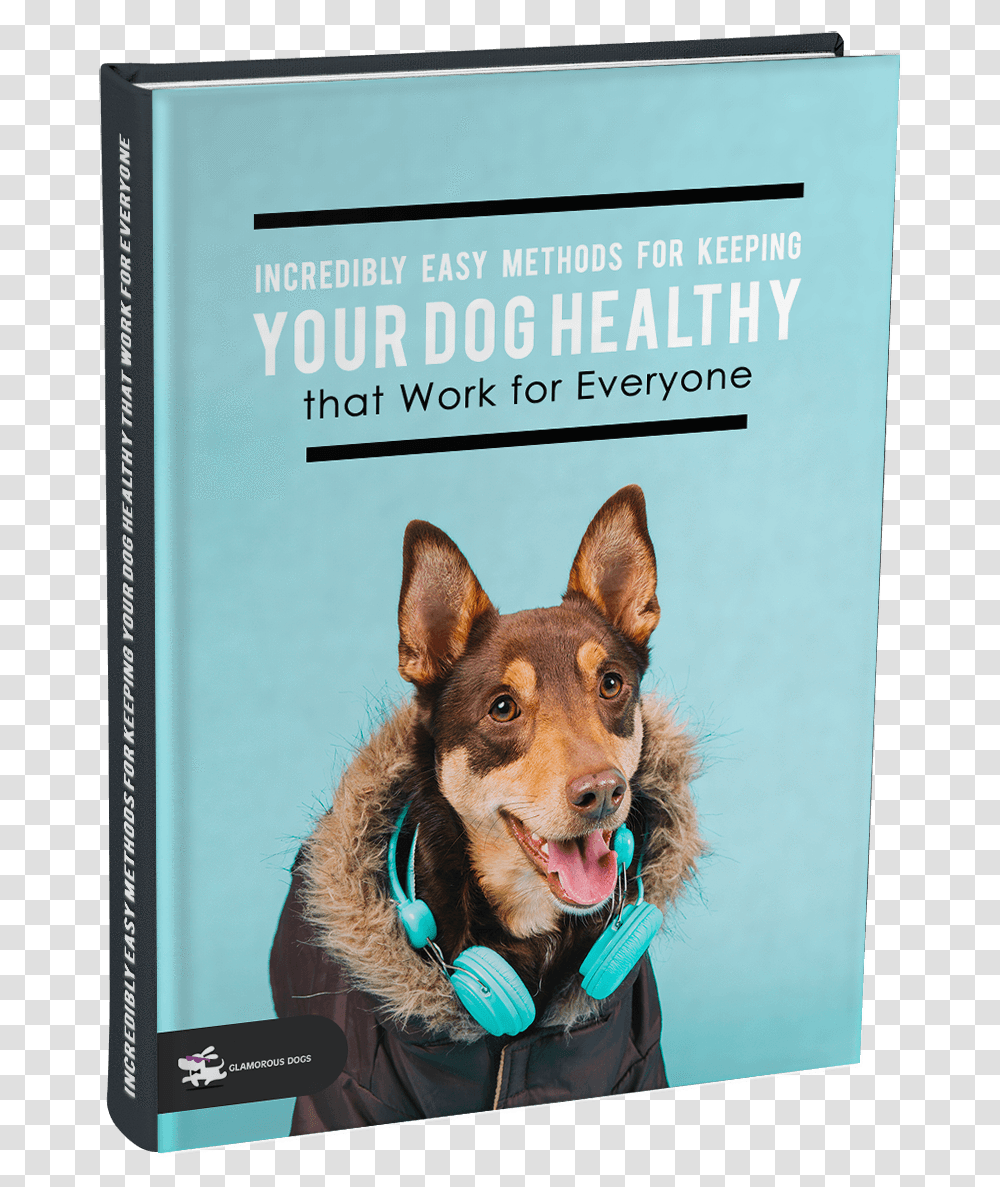 Incredibly Easy Methods For Keeping Your Dog Healthy Police Dog, Pet, Canine, Animal, Mammal Transparent Png