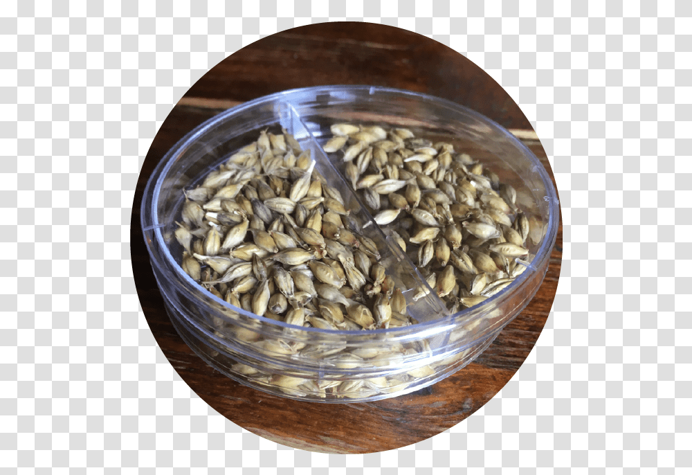 Independent Malt - In Your Flavor Sunflower Seed, Plant, Food, Produce, Vegetable Transparent Png