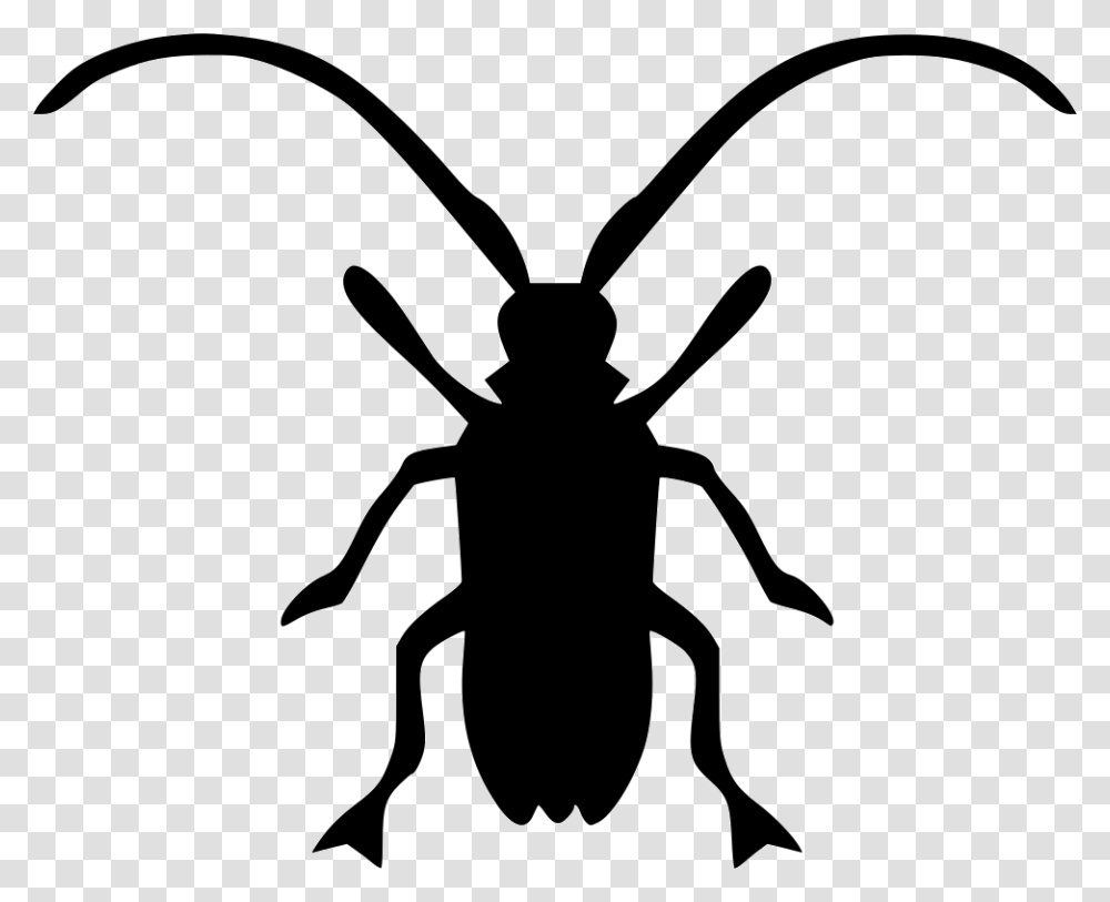 Index, Insect, Invertebrate, Animal, Stencil Transparent Png