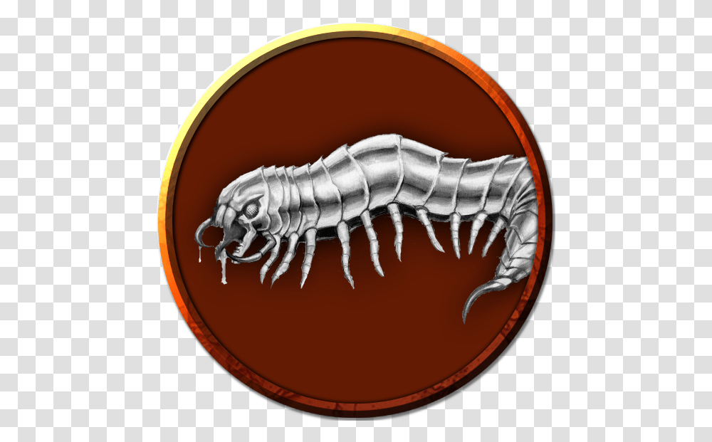 Index Of 5etoolsimgfef 3pp Worm, Flea, Insect, Invertebrate, Animal Transparent Png