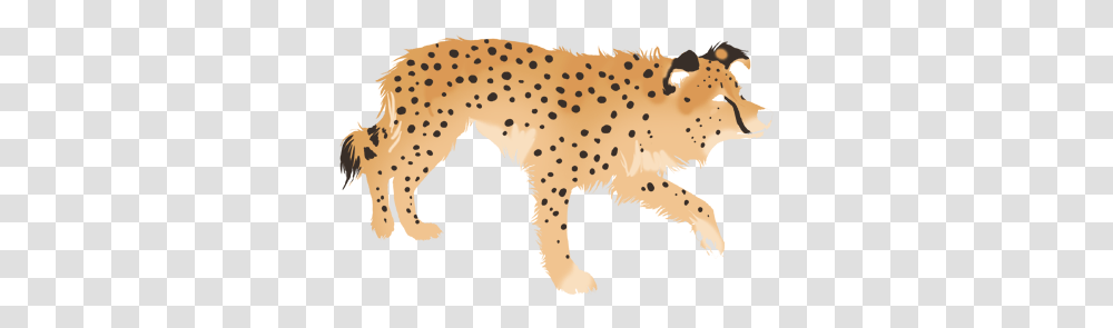 Index Of Agilityimagesautomatedimagesborder Colliedyes Cheetah, Wildlife, Mammal, Animal, Pet Transparent Png