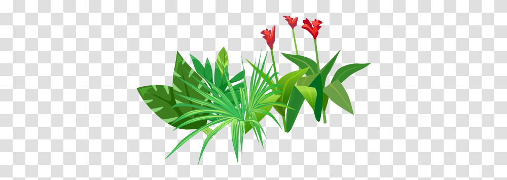 Index Of Assetsimg Tulip, Plant, Flower, Blossom, Vegetation Transparent Png