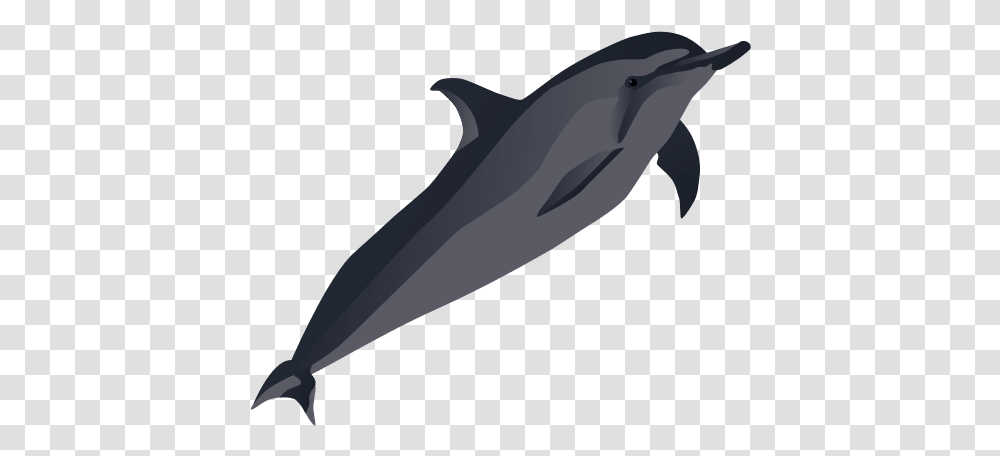Index Of Blog Zhwpcontentuploads201803, Dolphin, Mammal, Sea Life, Animal Transparent Png