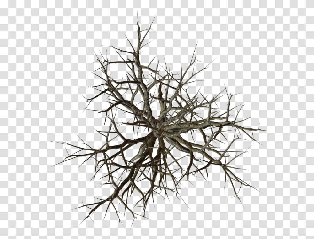 Index Of Dead Tree Plan, Snowflake, Crystal, Plant, Chandelier Transparent Png