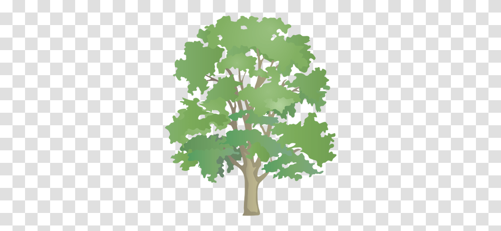 Index Of Deciduous Trees And Evergreen Trees, Plant, Cross, Vegetation, Animal Transparent Png