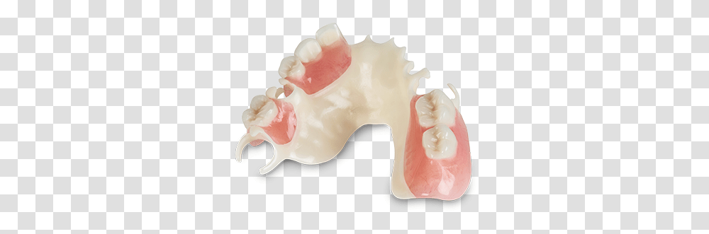 Index Of Dinosaur, Jaw, Teeth, Mouth, Lip Transparent Png