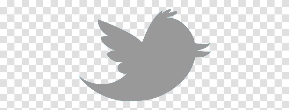 Index Of Grey Twitter Logo, Animal, Bird, Dove, Pigeon Transparent Png