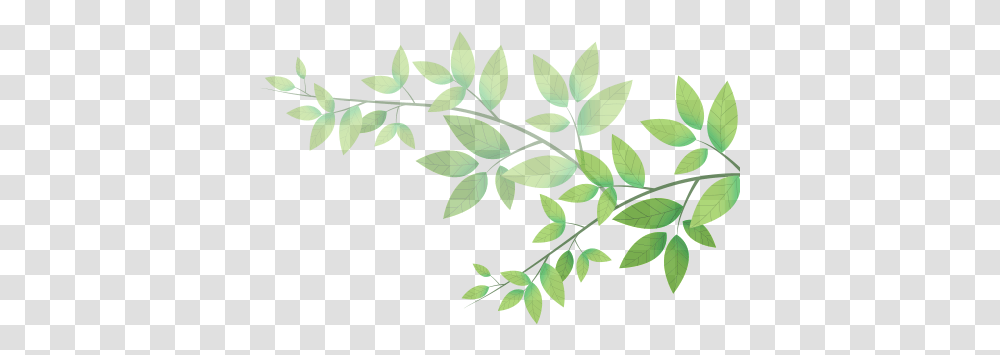 Index Of Hazreti Hamza, Leaf, Plant, Vegetation, Green Transparent Png
