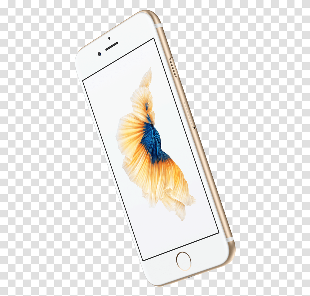 Index Of Imgiphoneiphone6splus Iphone 6s, Mobile Phone, Electronics, Cell Phone, Bird Transparent Png