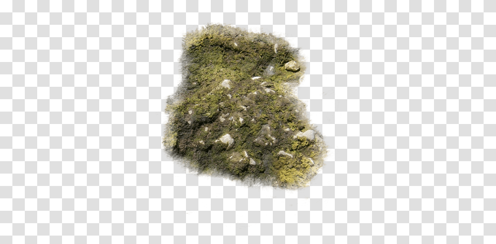 Index Of Mappingterrainmossy Moss, Plant, Rock, Algae, Mineral Transparent Png