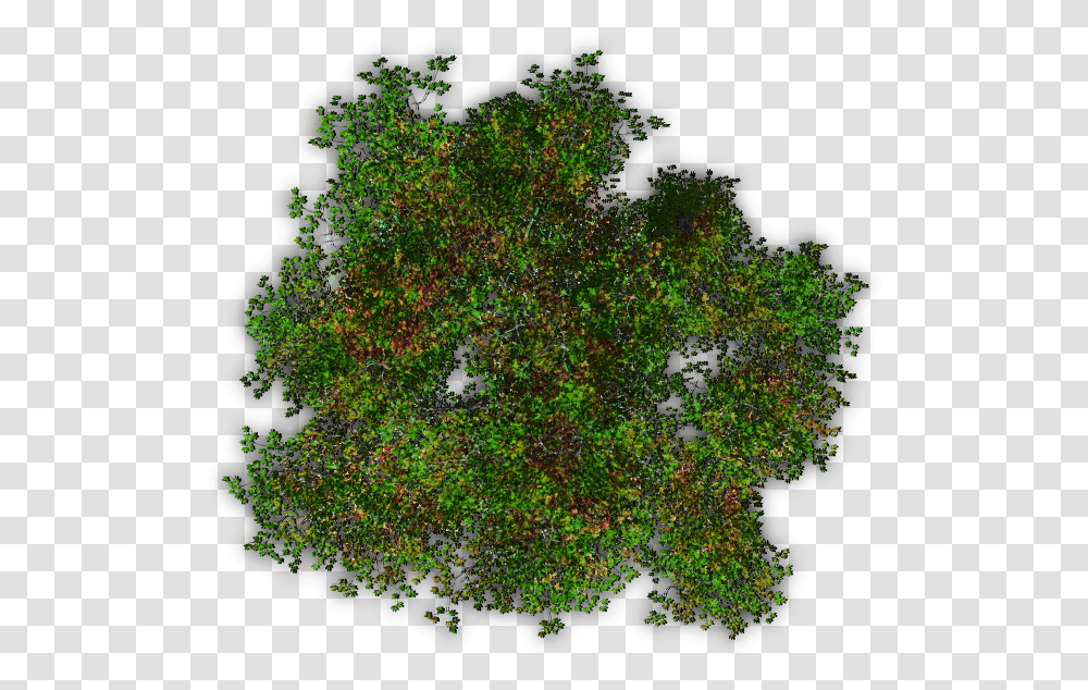 Index Of Mappingterrainplantstreesfall Top Autumn Tree, Ornament, Pattern, Fractal Transparent Png