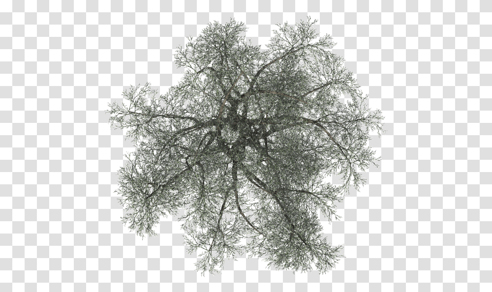 Index Of Mappingterrainplantstreeswinter Tree On Top Black, Snowflake, Pattern, Fractal, Ornament Transparent Png