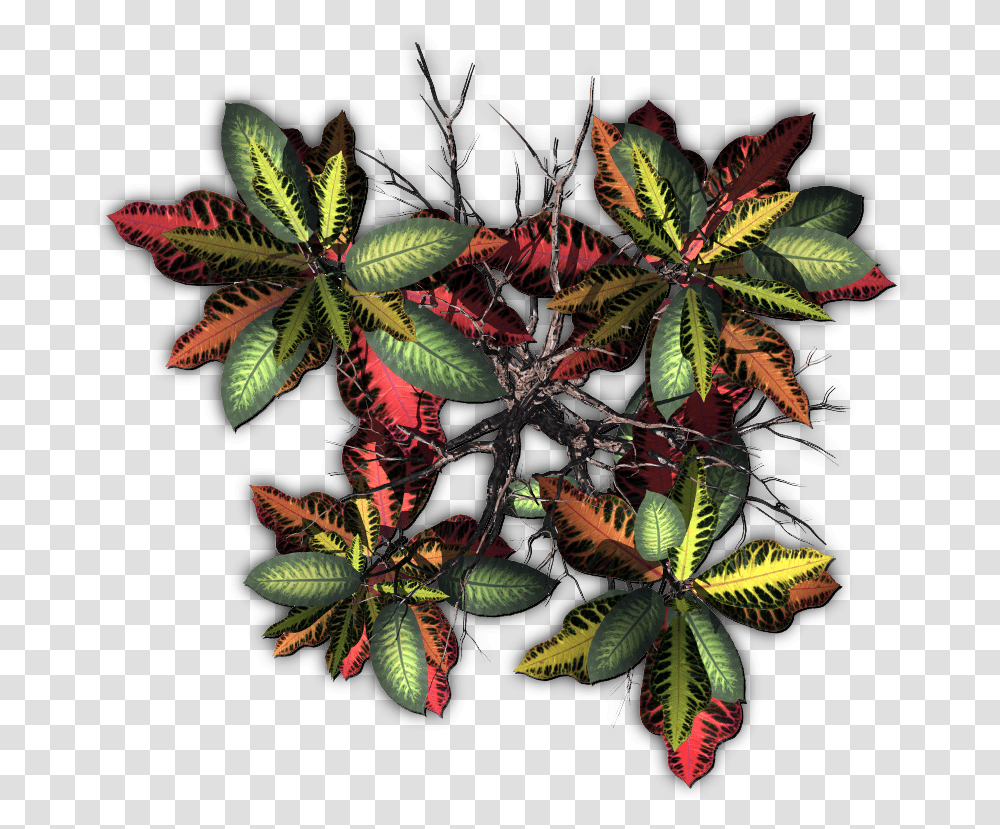 Index Of Mappingterrainplantstropicaltrees Bud, Ornament, Pattern, Fractal, Pineapple Transparent Png