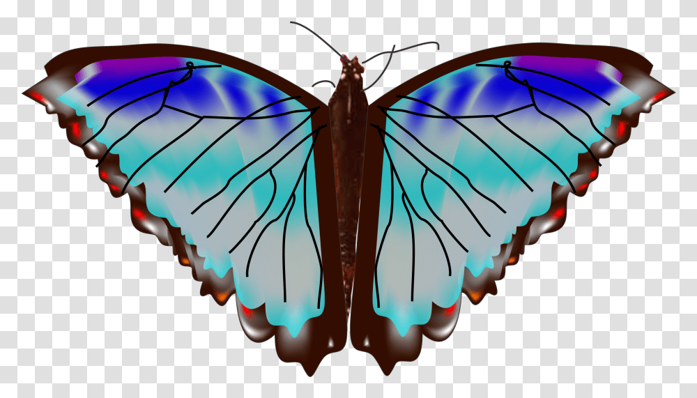 Index Of Mariposa, Butterfly, Insect, Invertebrate, Animal Transparent Png