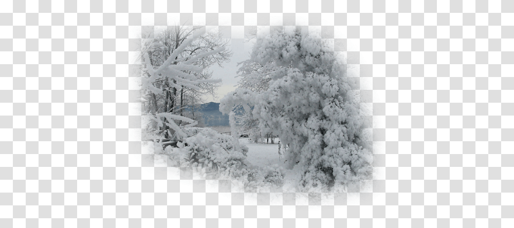 Index Of Maycatxmassharespng, Nature, Outdoors, Blizzard, Winter Transparent Png