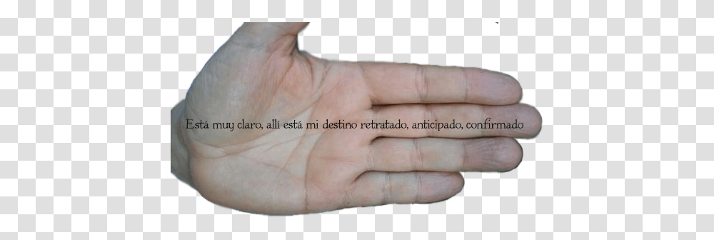 Index Of Memoriasycaminostextosimagenes Hand, Wrist, Person, Human, Finger Transparent Png