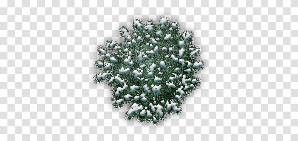 Index Of Sabal Minor, Christmas Tree, Ornament, Plant, Nature Transparent Png