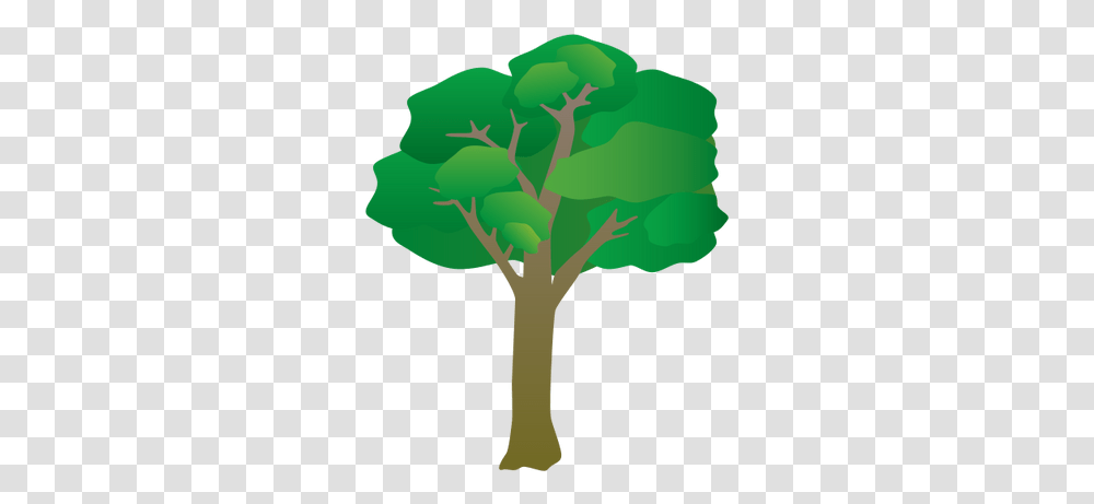 Index Of Tree Symbols, Plant, Produce, Food, Vegetable Transparent Png