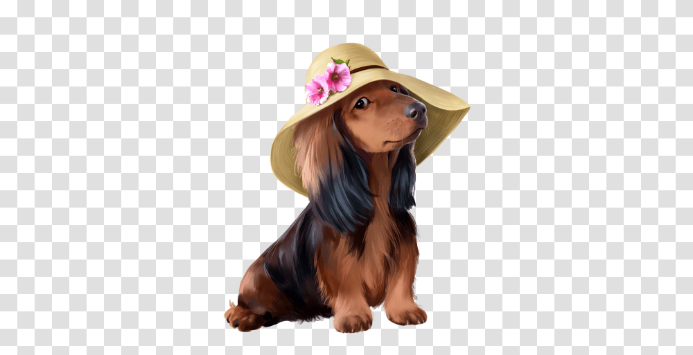 Index Of U2emee2upngs Funny Hat, Clothing, Apparel, Sun Hat, Person Transparent Png