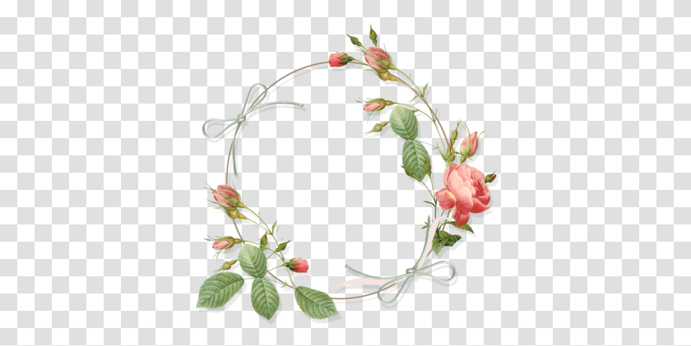 Index Of Userstbalzegrafixframes Vintage Flower Design Border, Acanthaceae, Plant, Art, Vase Transparent Png