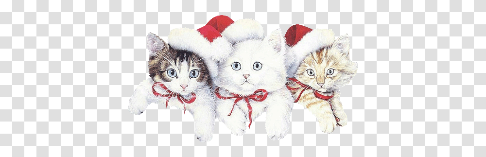 Index Of Userstbalzetopperwinter Free Printable Christmas Cat Stationery, Plush, Toy, Pet, Animal Transparent Png