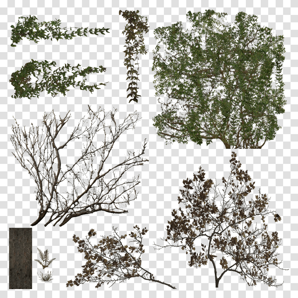Index Of Viewerresourcesmaterialsmodelspropsfoliage Tree, Plant, Nature, Outdoors, Land Transparent Png