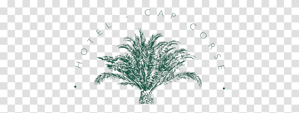 Index Of Wp Contentthemescastelbrandoassetsimgheader Vector Date Palm Tree, Plant, Arecaceae, Pattern, Vegetation Transparent Png