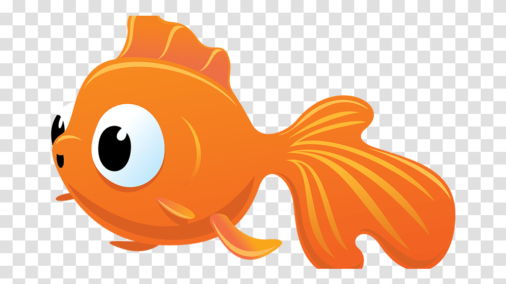 Index Of Wp Contentuploads201603 Goldfish, Animal, Amphiprion, Sea Life Transparent Png