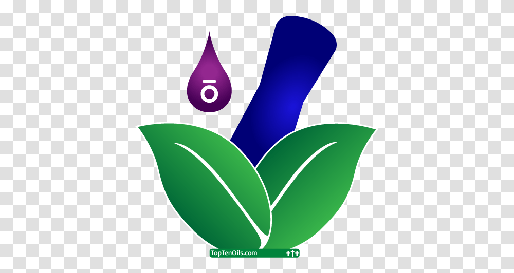 Index Of Wp Contentuploads201801 Emblem, Leaf, Plant, Symbol, Balloon Transparent Png