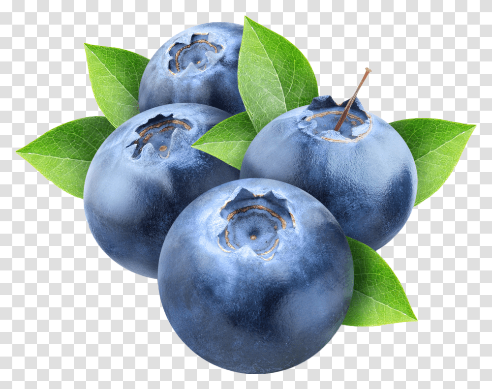 Index Of Wp Contentuploads201903 Blueberry Background, Plant, Fruit, Food, Plum Transparent Png