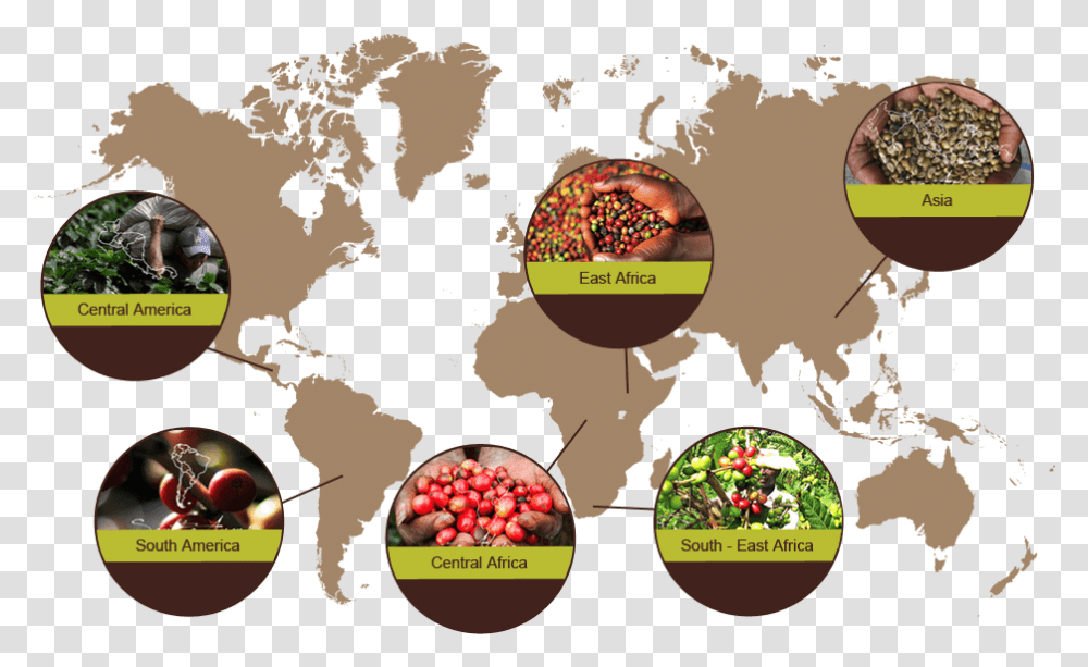 India In World Map Vector, Plant, Person, Produce, Food Transparent Png