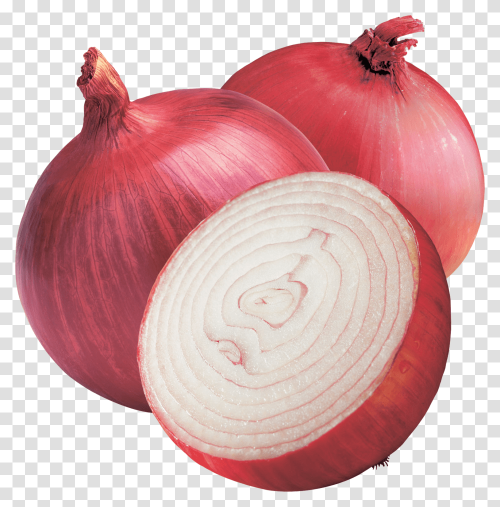 India Shallot Red Onion Vegetable Yellow Onion Onion, Plant, Food Transparent Png