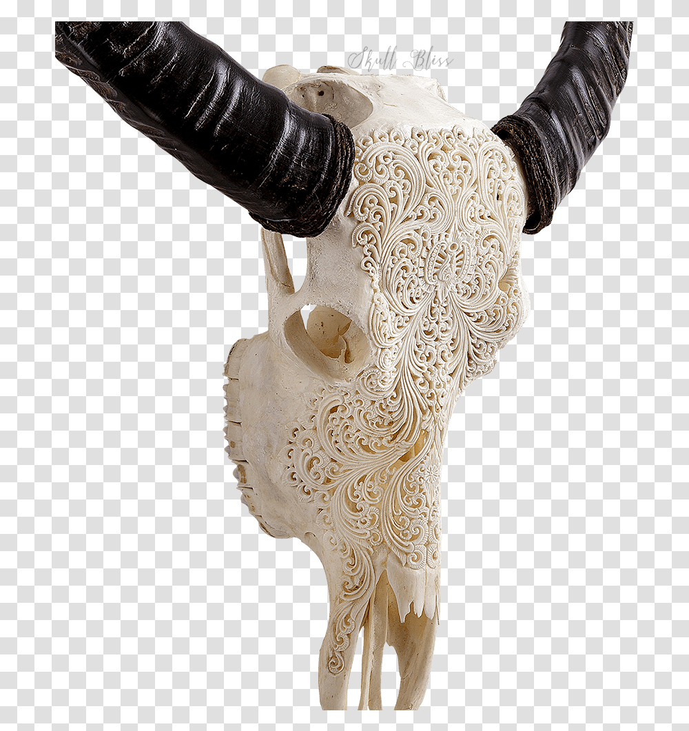 Indian Carving Buffalo Rose Skull Carving, Ivory, Hip, Person, Human Transparent Png