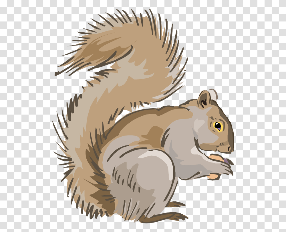 Indian Clipart Squirrel Indian Squirrel Free Clip Art Squirrel, Animal, Rodent, Mammal Transparent Png