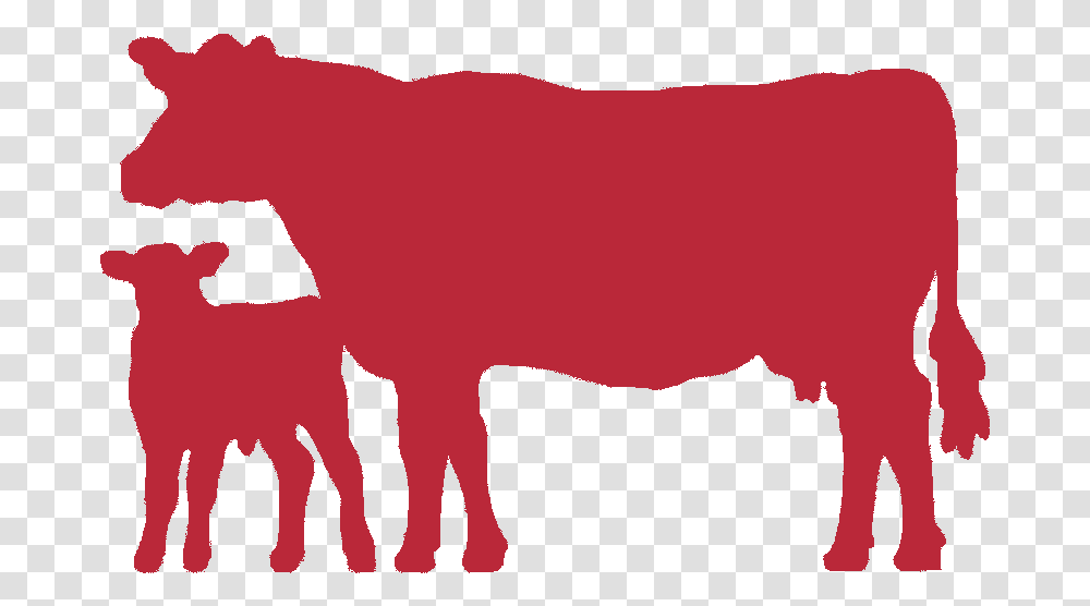 Indian Cow Images, Mammal, Animal, Bull, Cattle Transparent Png