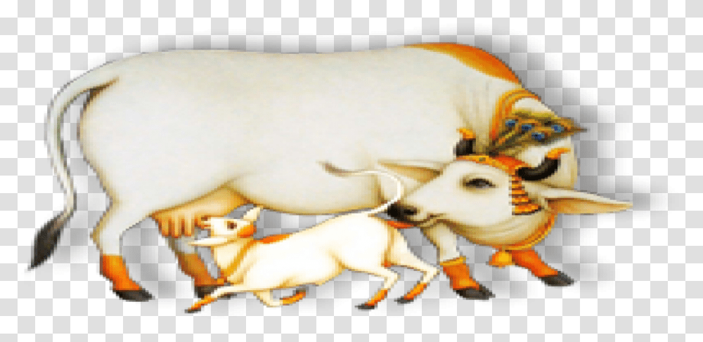 Indian Cow With Calf, Mammal, Animal, Cattle, Wildlife Transparent Png