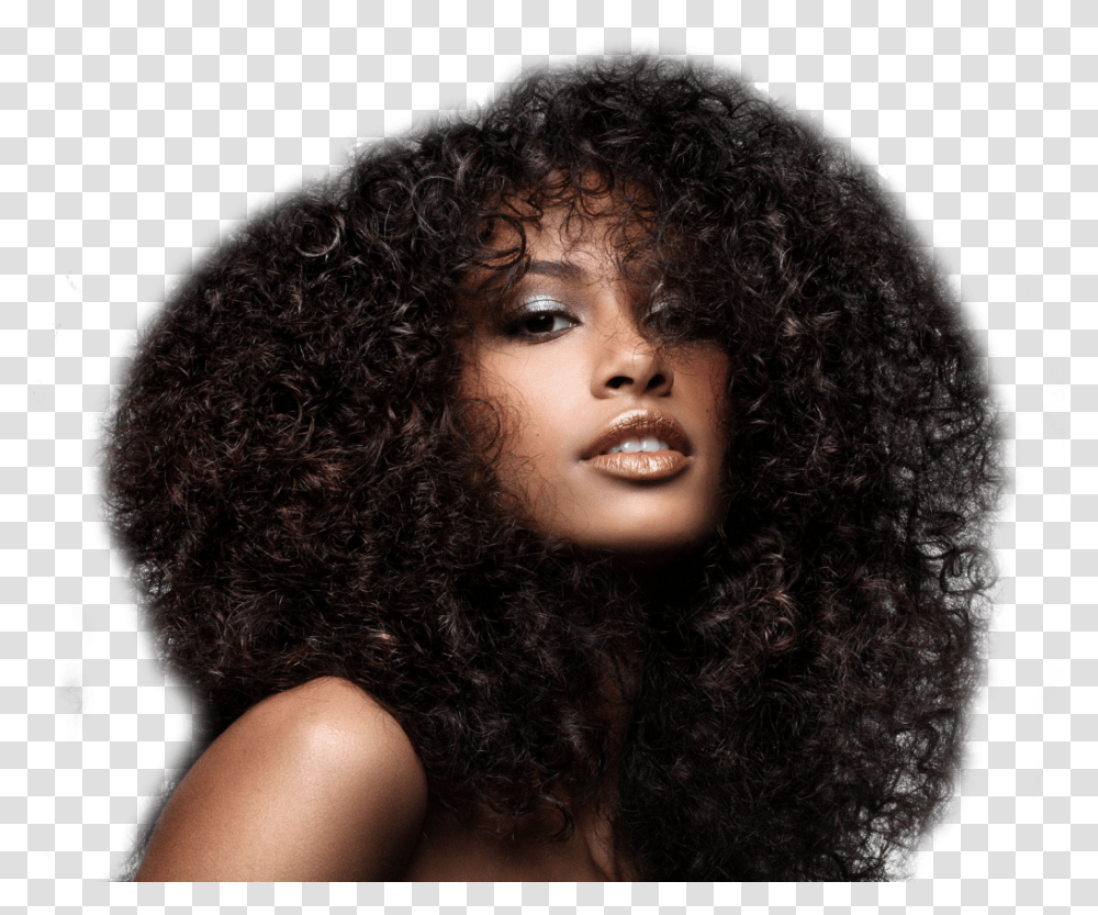 Indian Curly Hair Curly Hair Black Models, Person, Human, Black Hair, Wig Transparent Png