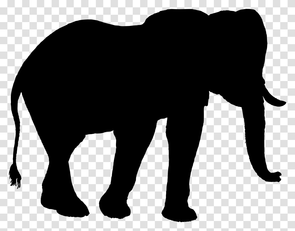 Indian Elephant African Elephant Silhouette Clip Art Elephant, Gray, World Of Warcraft Transparent Png