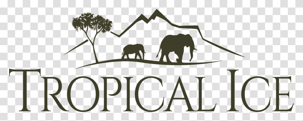 Indian Elephant, Animal, Mammal, Wildlife Transparent Png