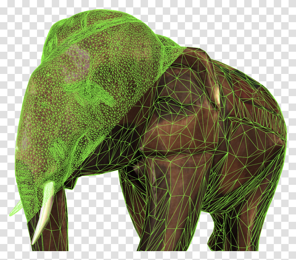 Indian Elephant, Animal, Pattern, Reptile, Mammal Transparent Png