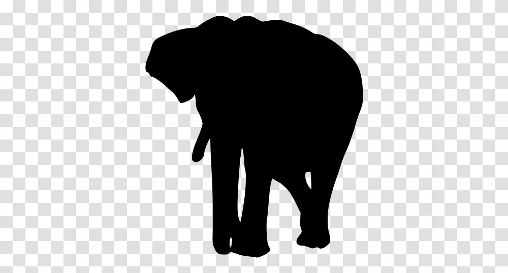 Indian Elephant, Gray, World Of Warcraft Transparent Png