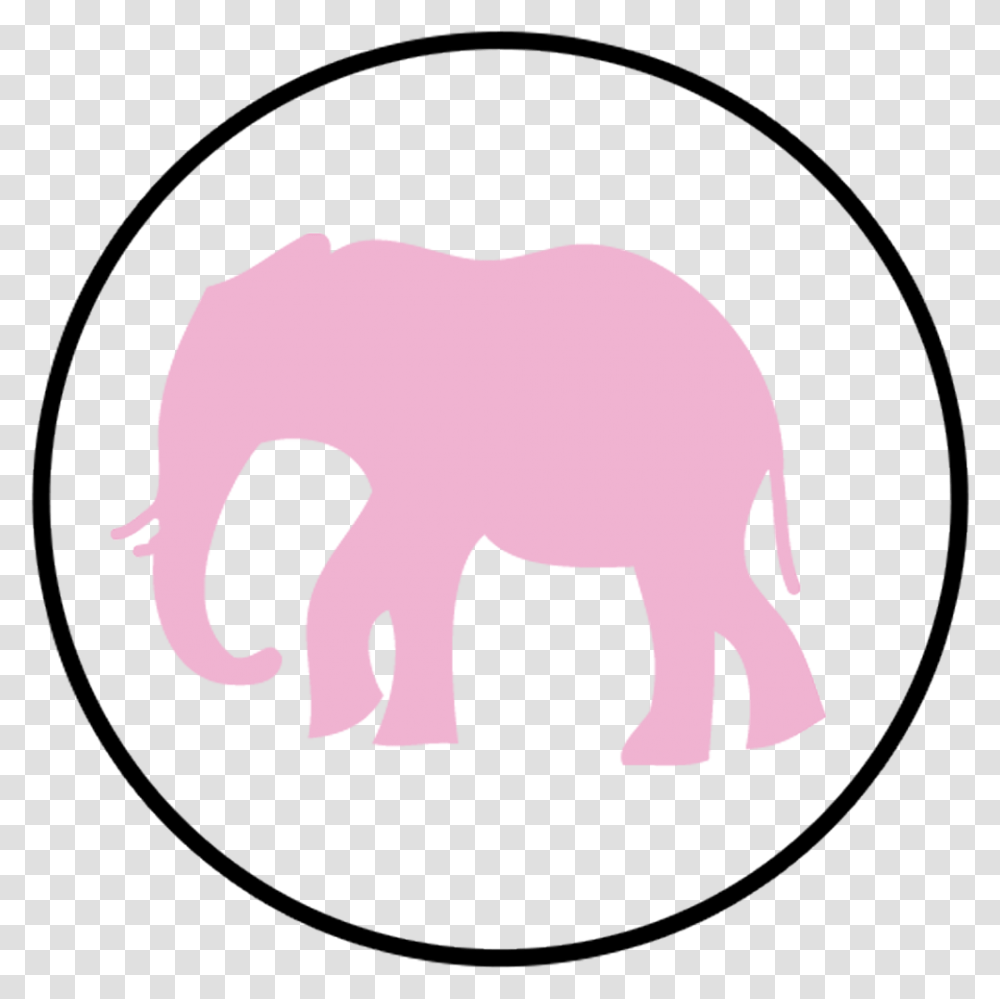 Indian Elephant, Label, Oval, Pattern Transparent Png