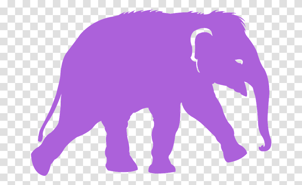 Indian Elephant, Mammal, Animal, Pig, Wildlife Transparent Png