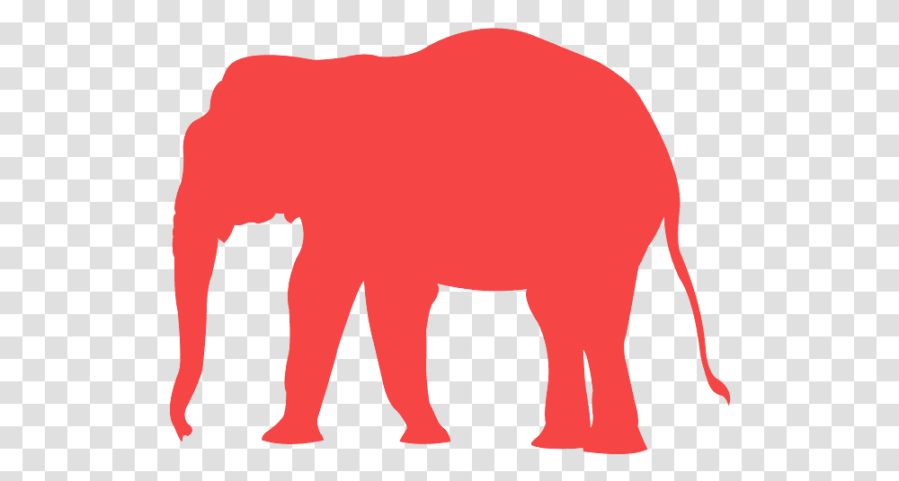 Indian Elephant, Mammal, Animal, Wildlife, Buffalo Transparent Png