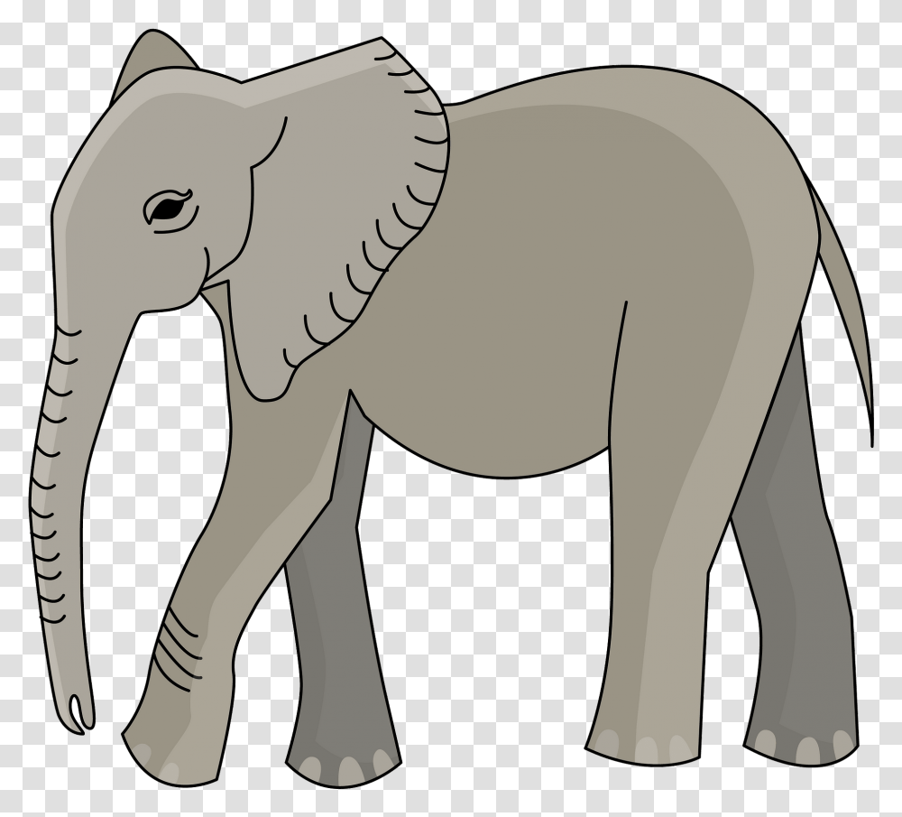 Indian Elephant, Mammal, Animal, Wildlife Transparent Png