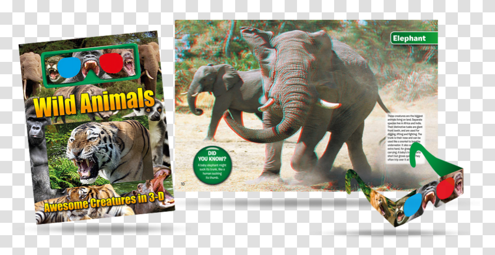 Indian Elephant, Tiger, Wildlife, Mammal, Animal Transparent Png
